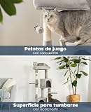 Ver la foto 4