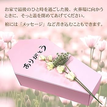 Amazon | TAIL CUTE ペット 葬儀 ひつぎ 棺 ペット用棺 ペット棺