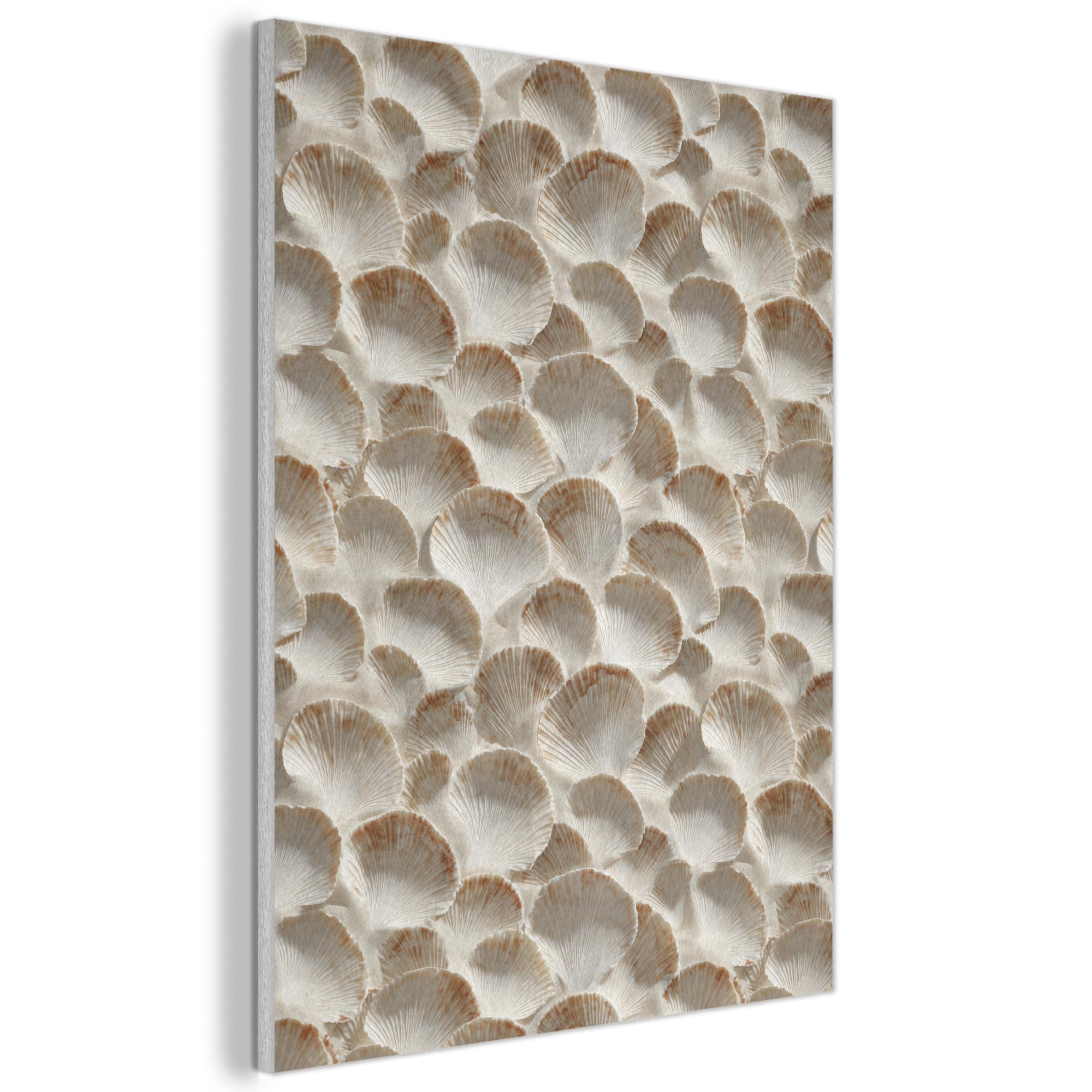 MuchoWow© "MuchoWow© Pannelli Fonoassorbenti Parete Acustici Insonorizzanti | 70x100 cm - Pannello Fonoassorbente Design Isolante Acustico Fonoisolanti Insonorizzazione Stanza Conchiglie - Forma a