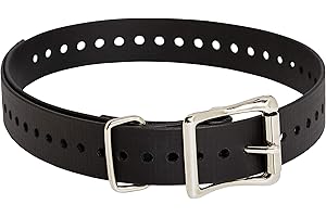 SportDOG Brand 1 Inch Wide Dog Collar
