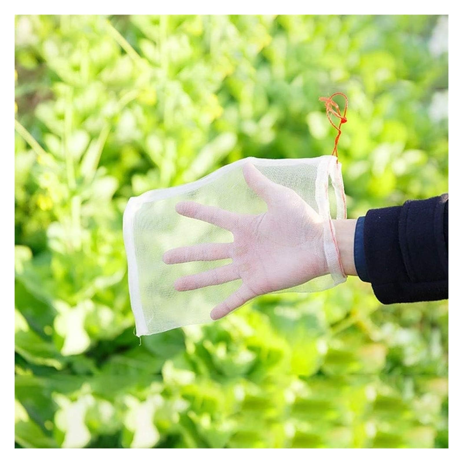 Bolsas Protectoras contra Insectos para Uvas, Bolsas Reutilizables for Frutas, 50 Unidades, multifunción, antiinsectos, antiaves y repelentes de Insectos(25x15cm)