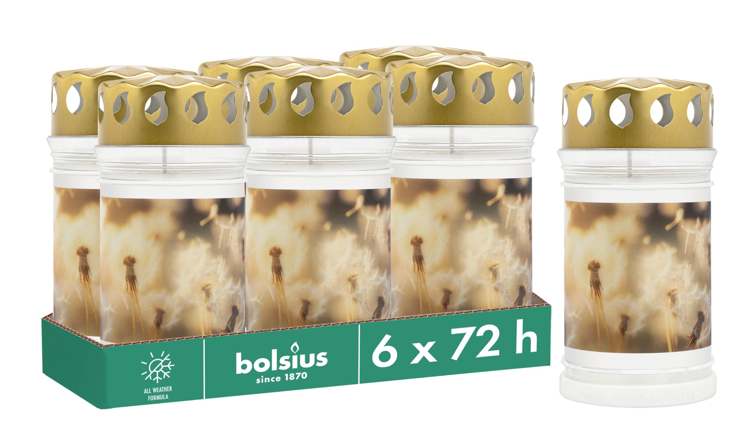 Bolsius Grave Light with Dandelion Motif, Set of 6, Length Burning Time 3 Days, Funeral Candle & Memorial Candles, Clean Burning, Palm Oil Free, White