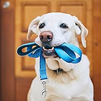 Vista 4 de 6 Pieces Dog Leash Bulk for Medium and Large Dog, Heavy Duty Nylon Pack Dogs Leashes Padded Handle Double Sided Reflective Puppy Collar for Walking