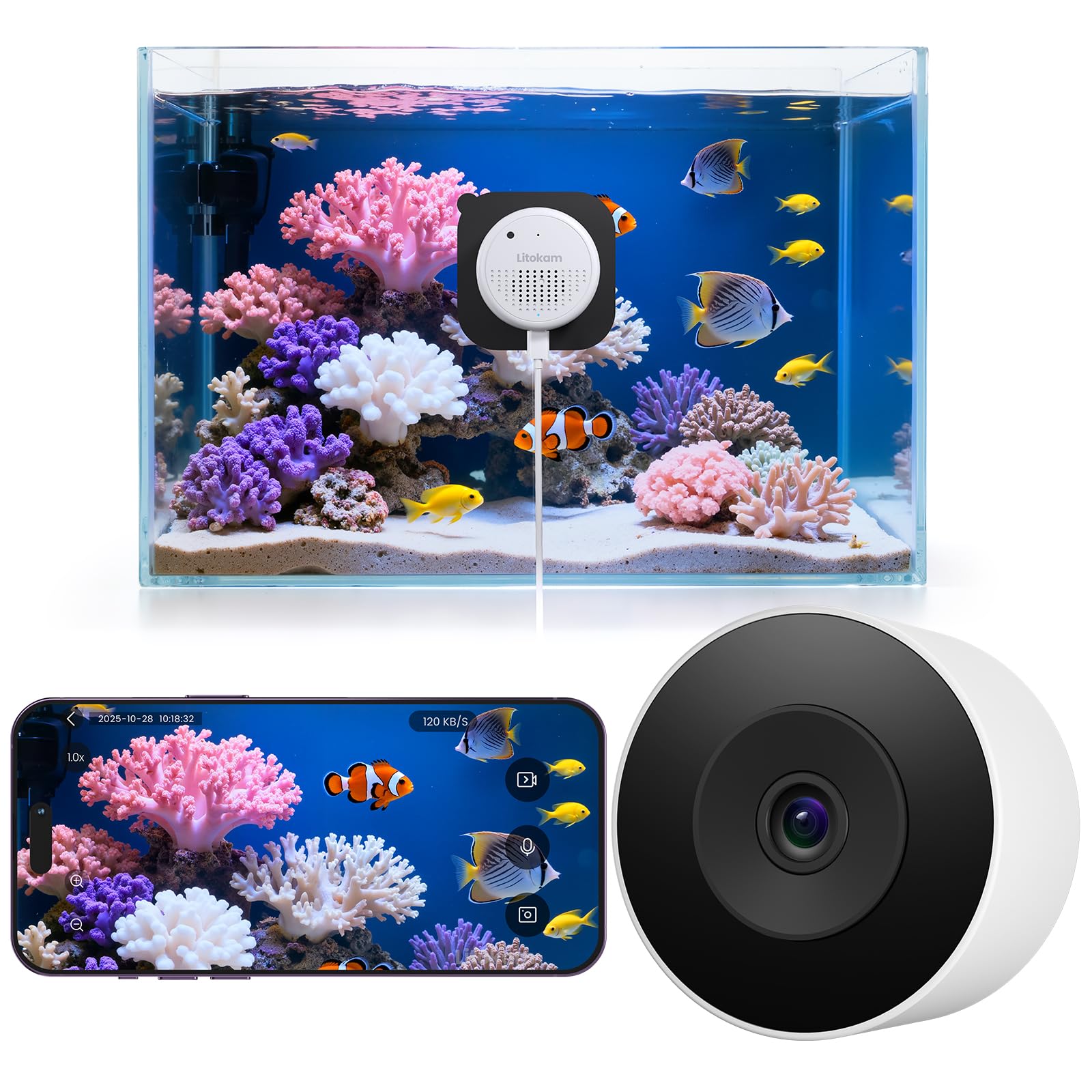 litokam Reptile and Aquarium Camera
