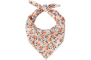 E-Clover Washable Dog Bandana: Keep Your Furry Friend Fog-Free