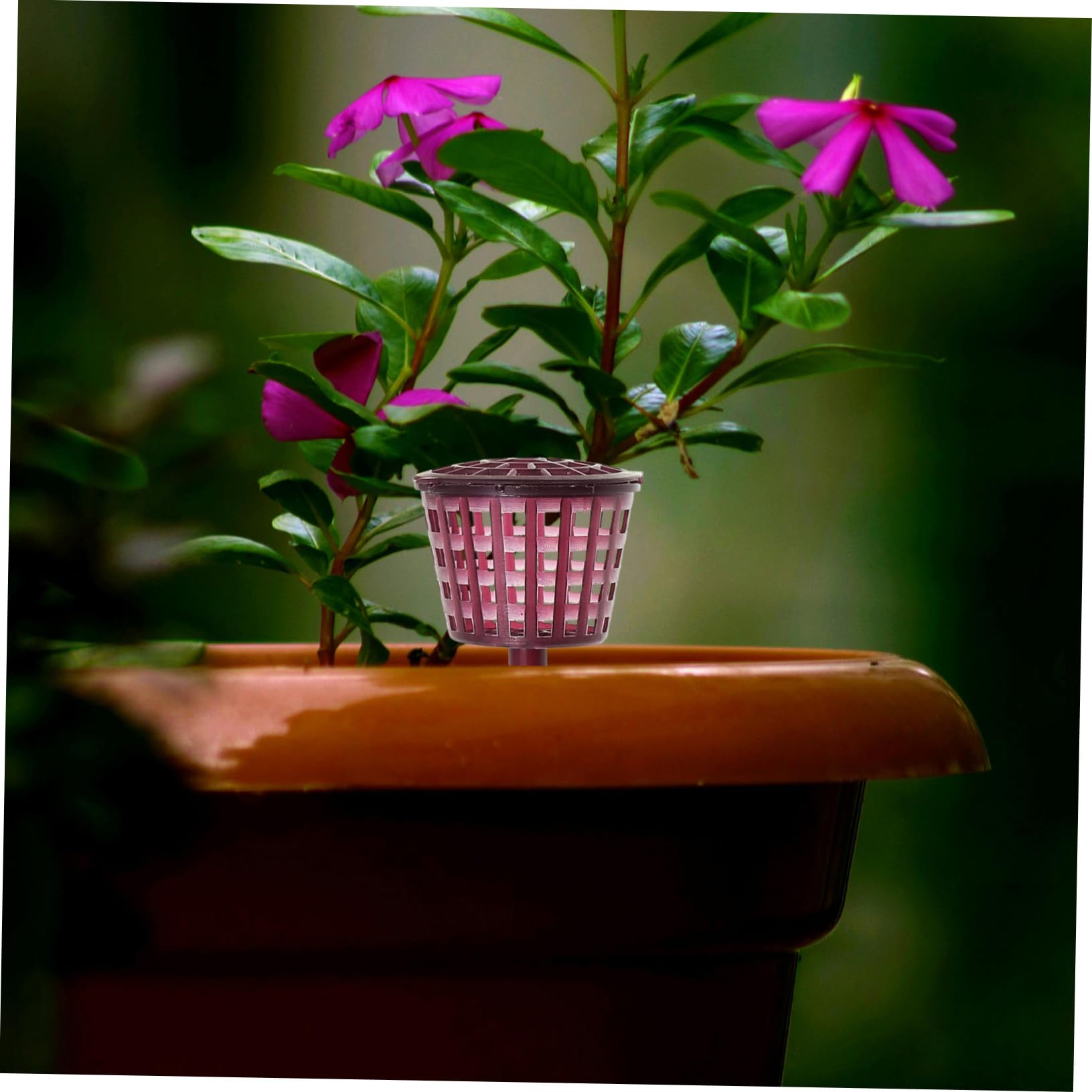Toyvian 10pièces Paniers à Engrais pour Bonsaïs Distributeurs Automatiques Plastique Facilitent La Fertilisation des Plantes
