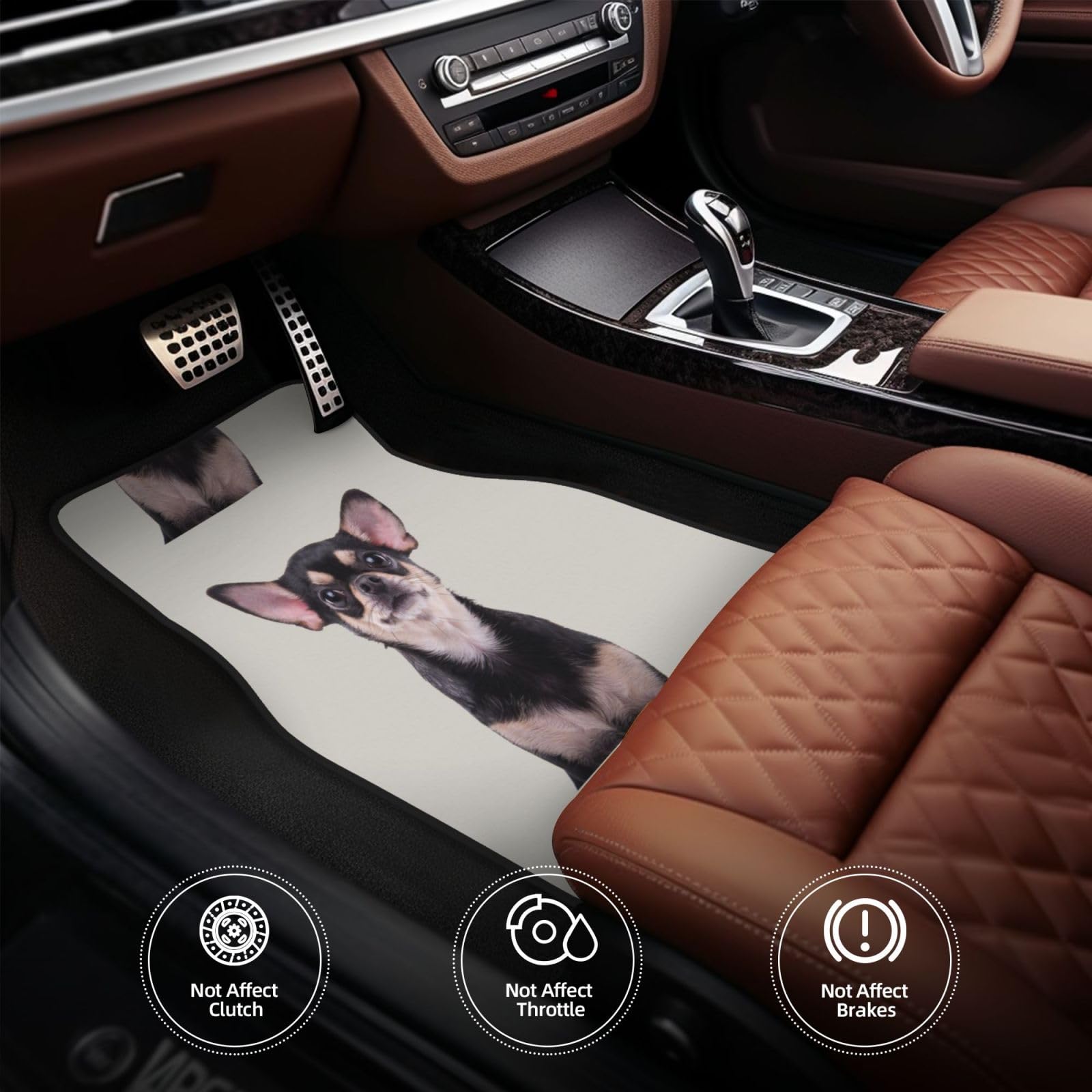 Chihuahua, 4er-Set Auto-Fußmatten, Neopren-Fußmatten für Fahrzeuge, rutschfeste Auto-Fußmatten, Autozubehör