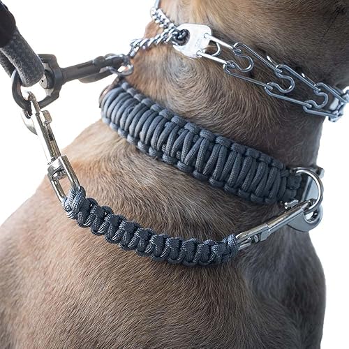 Miniatura 1 de Dog Collar Safety Leash for Prong Collar Back Up Strap Clip (Gray)