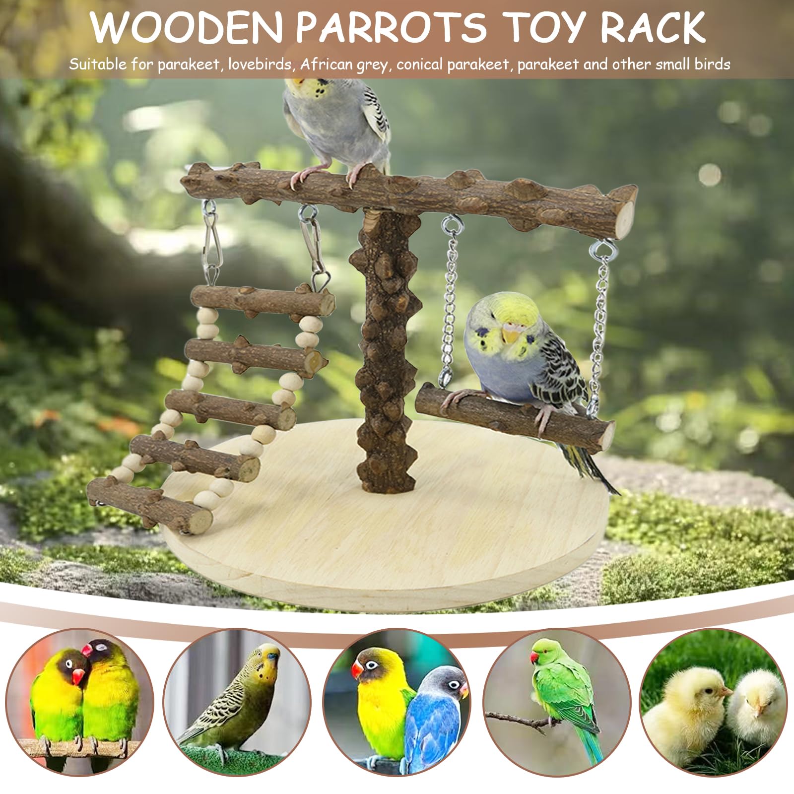 Parrot Playstand in Legno - Parco Giochi per Pappagallo con Scala e Altalena per Uccelli