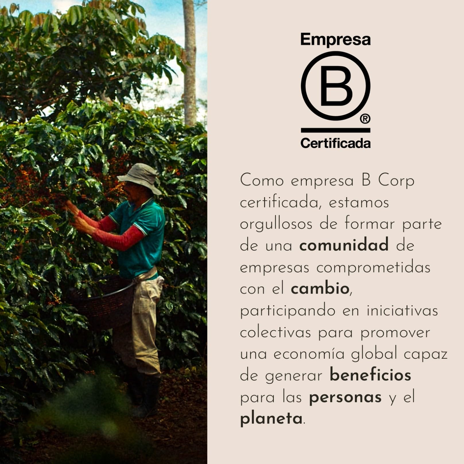 illy, Máquina de Café Iperespresso Y3.3 con 216 Cápsulas, Color Blanco | 108 CLASSICO y 108 INTENSO, Café Espresso y Americano, Apagado y Descalcificación Automática