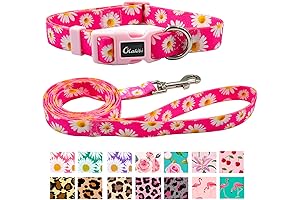 Adorable Daisy Pattern Dog Collar and Leash Set for Extra Small Dogs