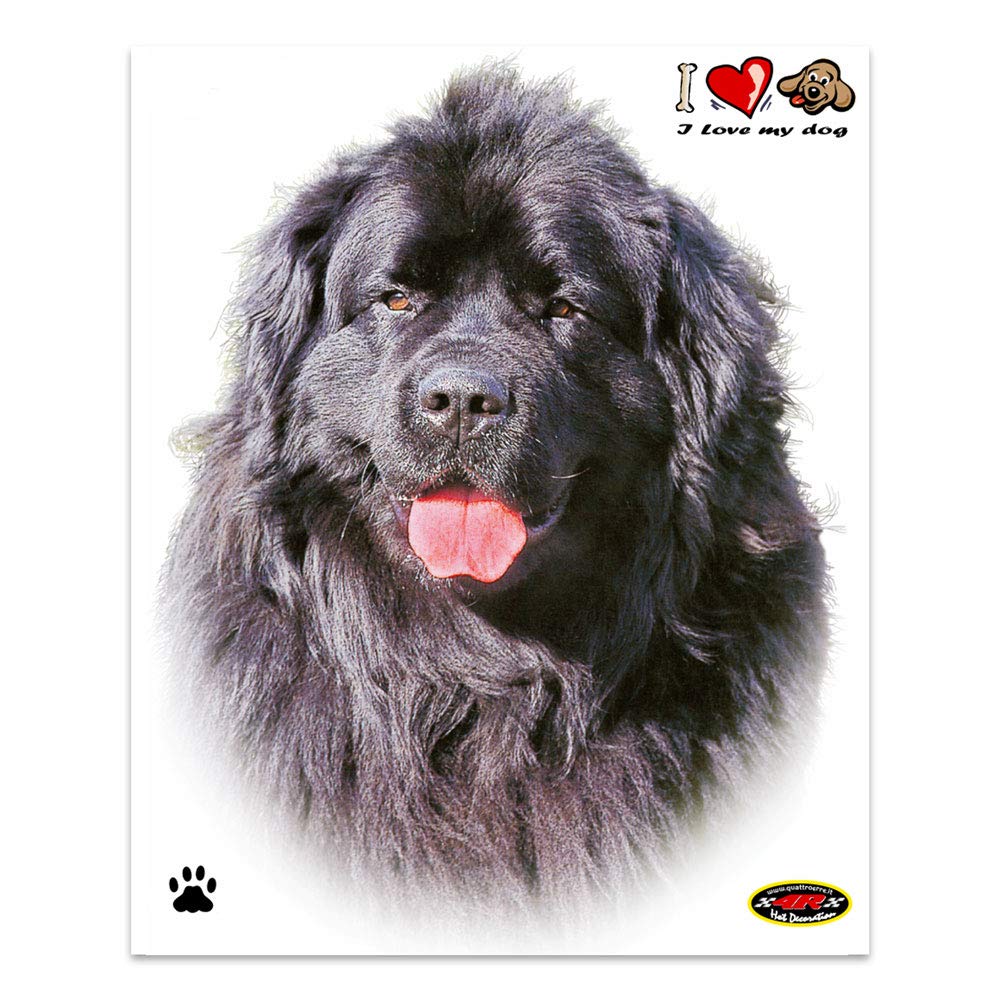 Quattroerre Sticker Newfoundland Dog, 14 x 16 cm