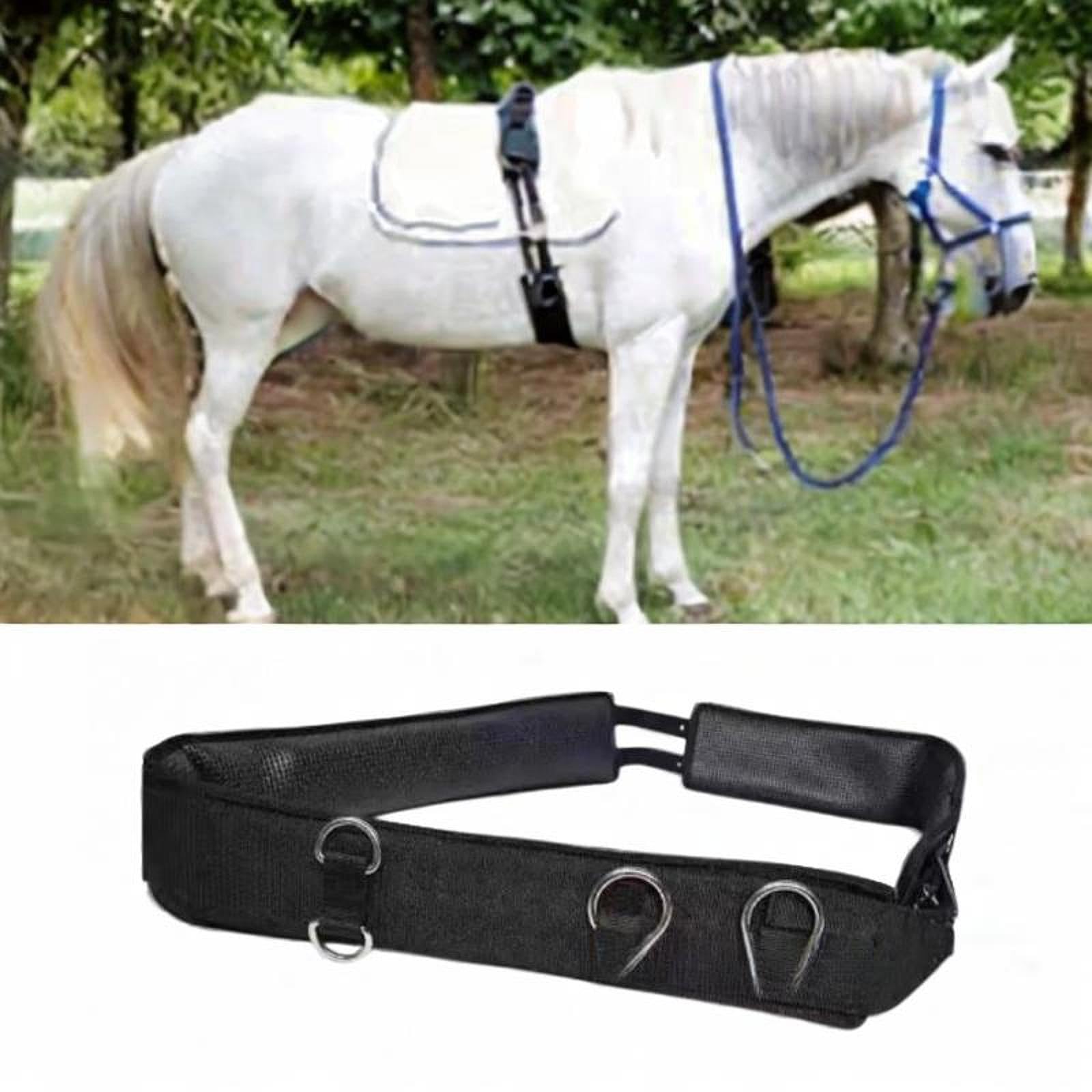 Qianly Cinchuelo para Caballo Acolchado con Ajuste Fácil Correa de Protección de Oxford Antideslizante con Sujeción Segura Adecuada para Paseos Ecuest