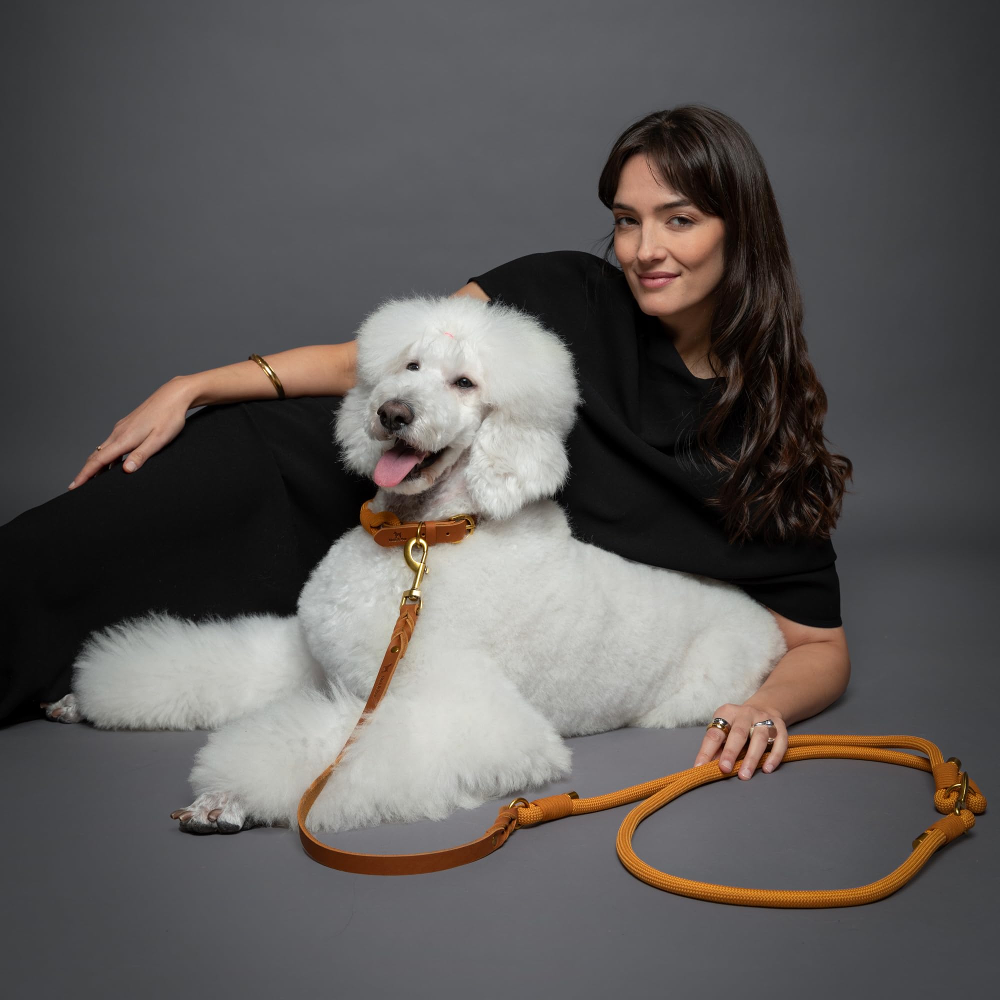 Noah & Paw Laisse Mains Libres pour Chien, Cuir huilé ciré + paracorde résistante, 8 ft (2,4 m), Laisse Longue 6 utilisations (Chats, Petits, Moyens, Grands Chiens) (Camel)