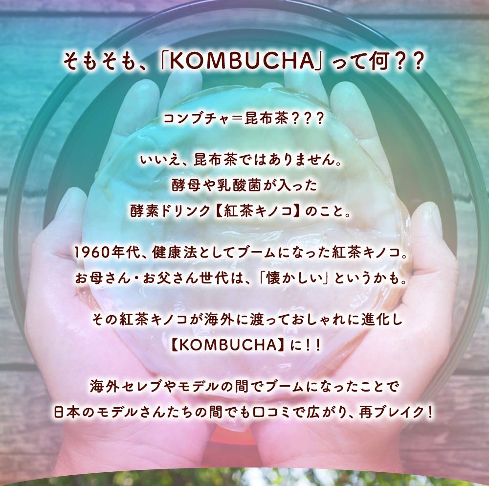 Amazon | シードコムス コンブチャ KOMBUCHA サプリメント 酵素