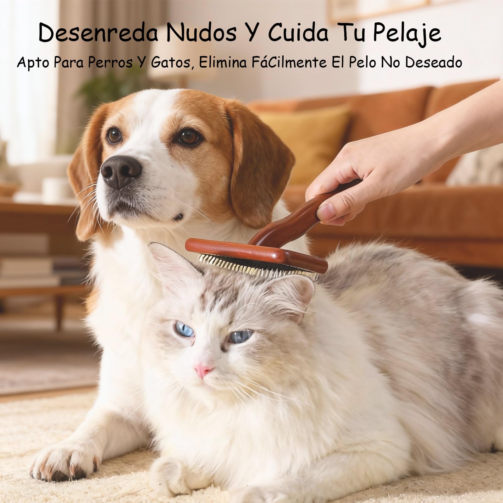 piezas Cepillo para Perros y Gatos, Limpia, Desenreda y da Masaje, Quitar Pelo Muerto, Mango de madera Ergonómico y Púas de Acero Inoxidable, Pelaje de su Mascota (Mediano + peine de dientes finos)
