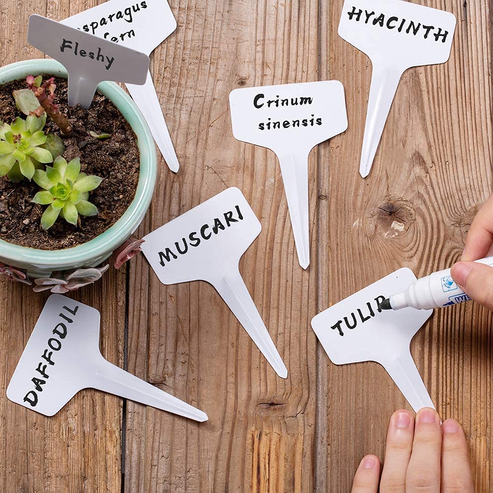 100 Etichette Per Piante In Plastica PVC – Bianche, Impermeabili, Riutilizzabili – 6 X 10 Cm – A Forma Di T Per Giardino E Vasi