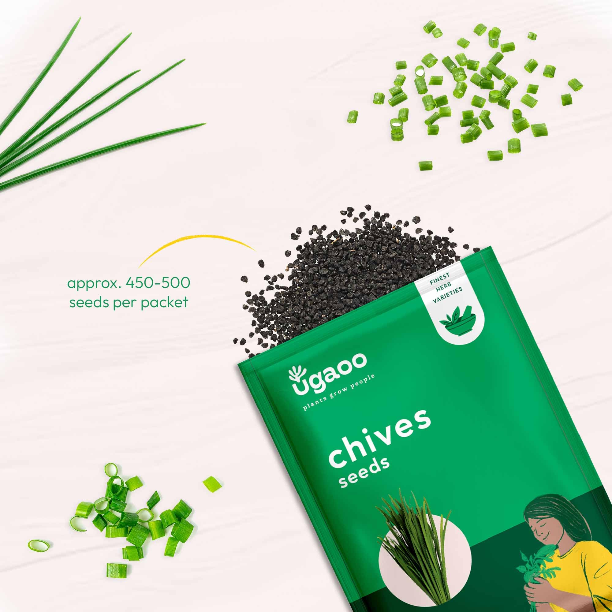 UGAOO Chives Herb Seeds (Green, Pack of 500) - Image 2 thumbnail