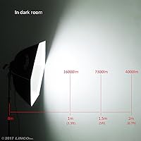 Vista 3 de LINCO Lincostore Flora LED 1860 * 2 luces de fotografía súper brillantes para fotografía, película y estudio de video iluminación AM161- Cena