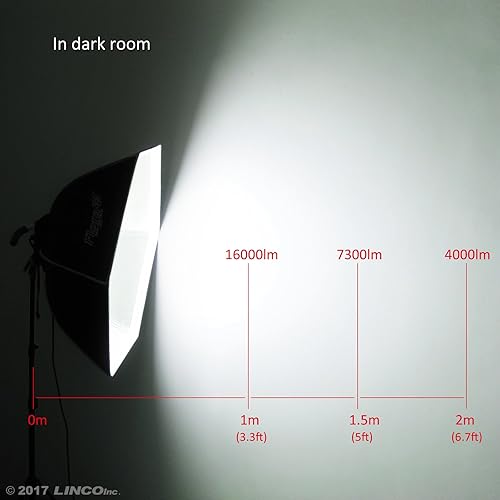 Miniatura 3 de LINCO Lincostore Flora LED 1860 * 2 luces de fotografía súper brillantes para fotografía, película y estudio de video iluminación AM161- Cena