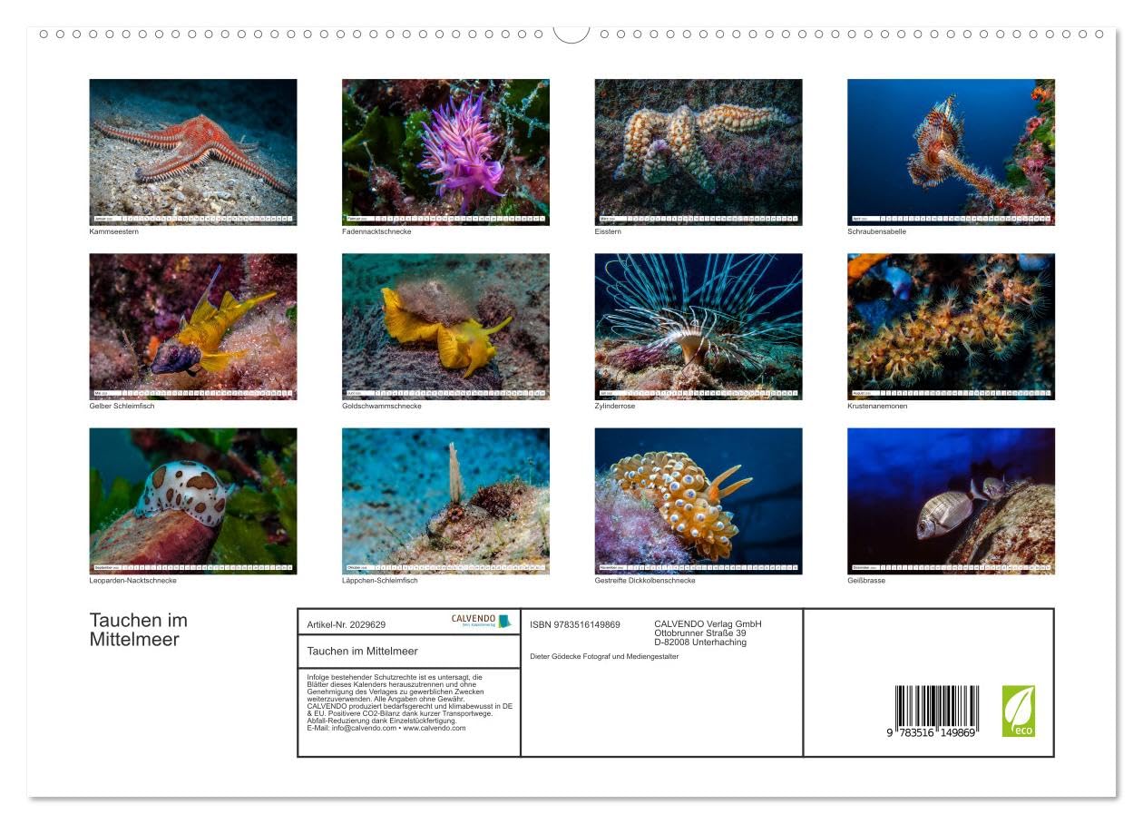Tauchen im Mittelmeer (hochwertiger Premium Wandkalender 2026 DIN A2 quer), Kunstdruck in Hochglanz: Bei Tauchgängen im Mittelmeer werden Sie viele der im Kalender gezeigten Meeresbewohner treffen