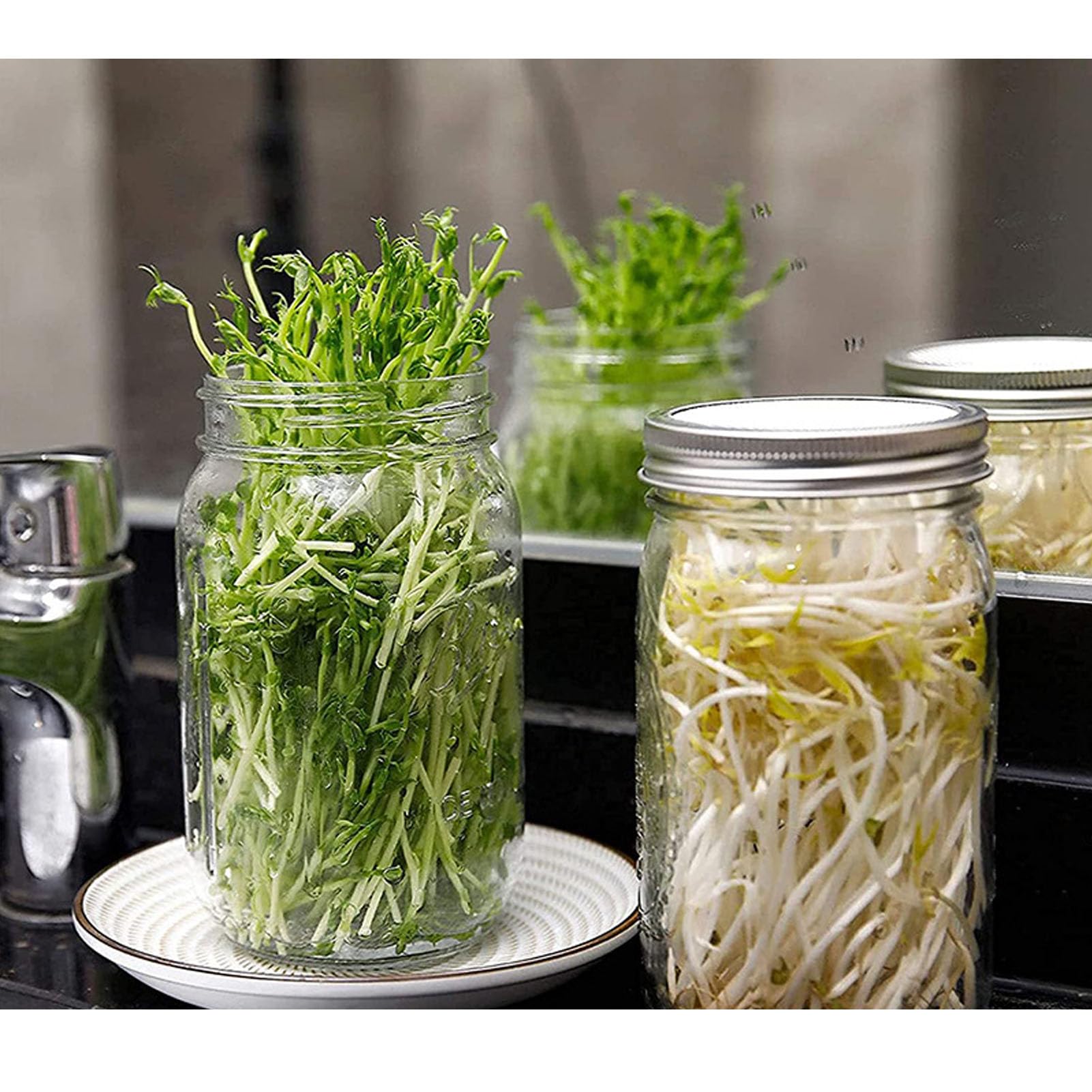 Lot de 2 Bocaux de Germination, Kit de Culture de Germes de Brocoli Mason Jar Kit de Germination Kit de Culture de Micro-verts avec Couvercle en Maille, Bouche Large, Drainage Facile pour la Culture D