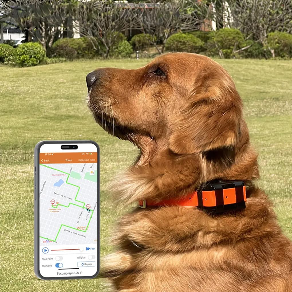 Collare GPS per cani con localizzazione in tempo reale 4G, collare di sicurezza per esterni, recinzione geografica, tecnologia rivoluzionaria per proprietari di cani,