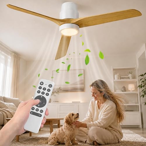 Ateroll Ventilateur Plafond Silencieux, Ventilo Plafond A…