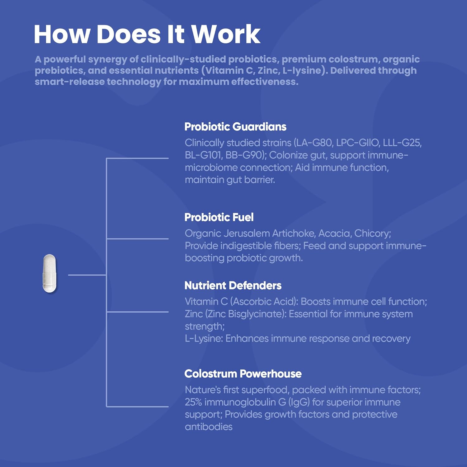 Synbiotics with Colostrum | 20 Billion CFU Probiotic + Prebiotic Fiber | Women’s Pre & Probiotics for Gut Health, Digestive Balance, Immune & Bloating Support | 60 Capsules | Lab-Tested