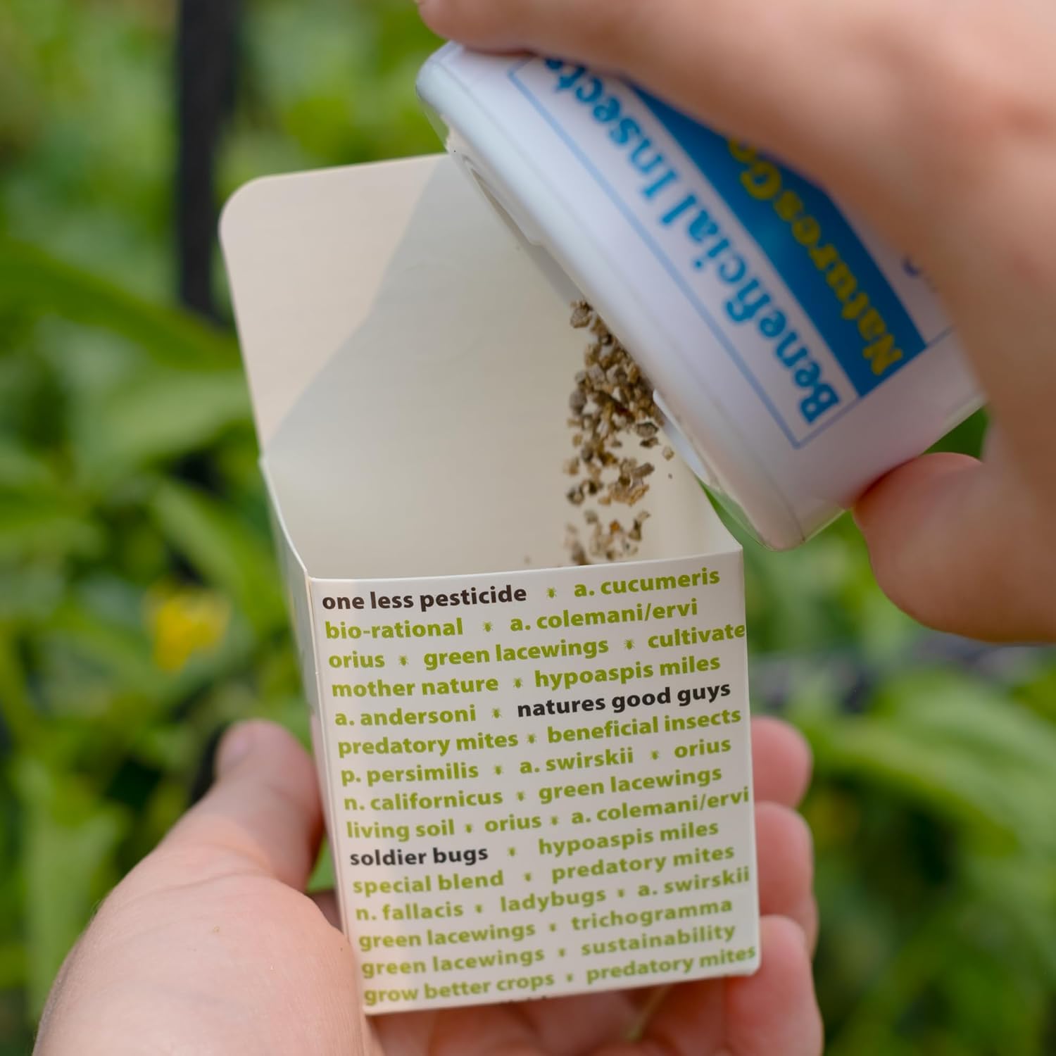 25,000 Predatory Mites Amblyseius Swirskii Bottle