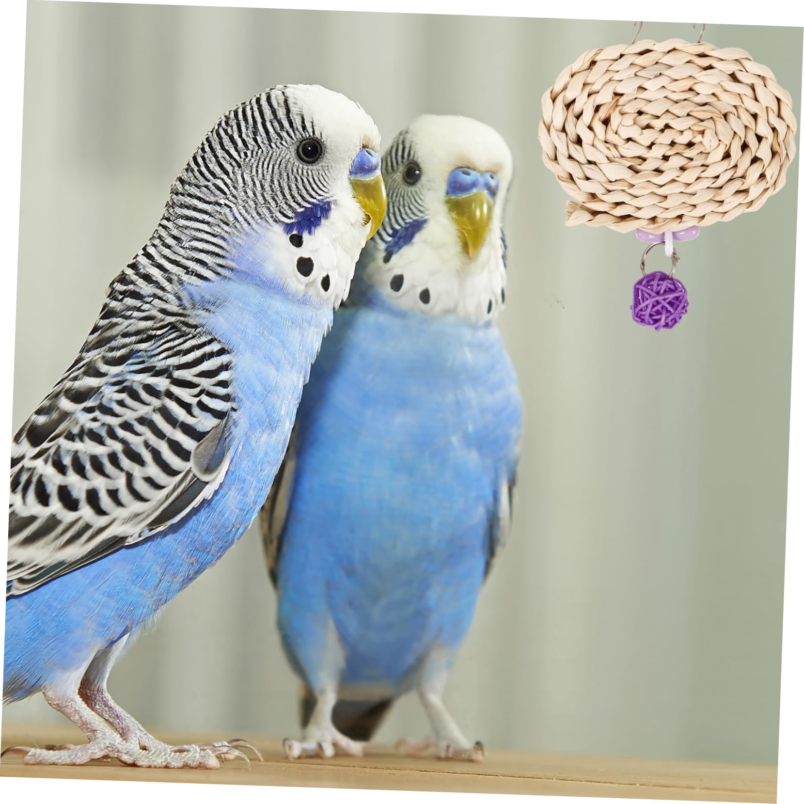 BESPORTBLE 5pièces Jouet à Mâcher Suspendu pour Perroquets Accessoire De Cage pour Oiseaux Jouet De Déchiquetage Et Divertissement pour Oiseaux pour Entraînement Broyage Dents