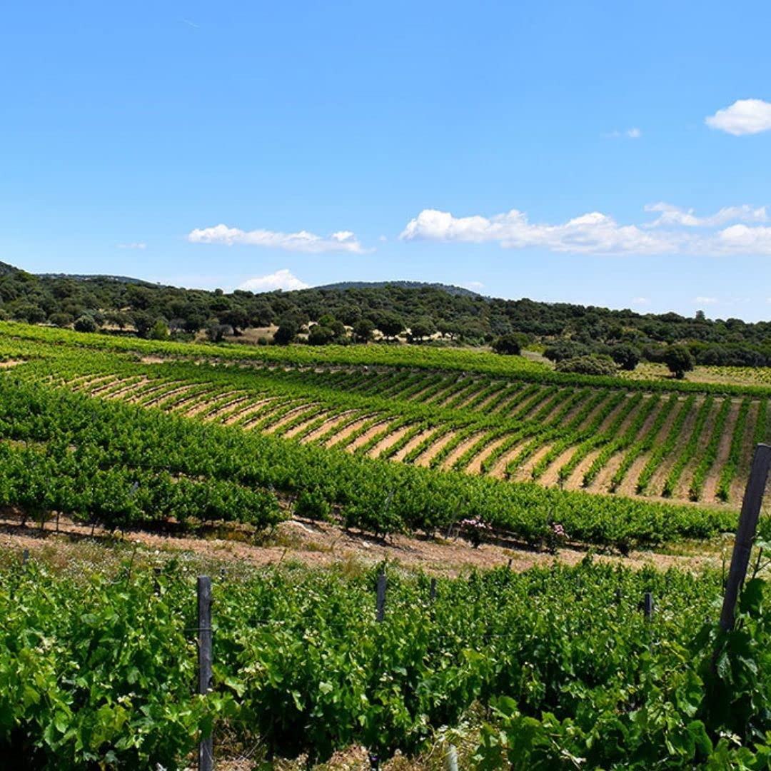 Tejoneras 2014 (caja de 6 botellas de vino tinto)