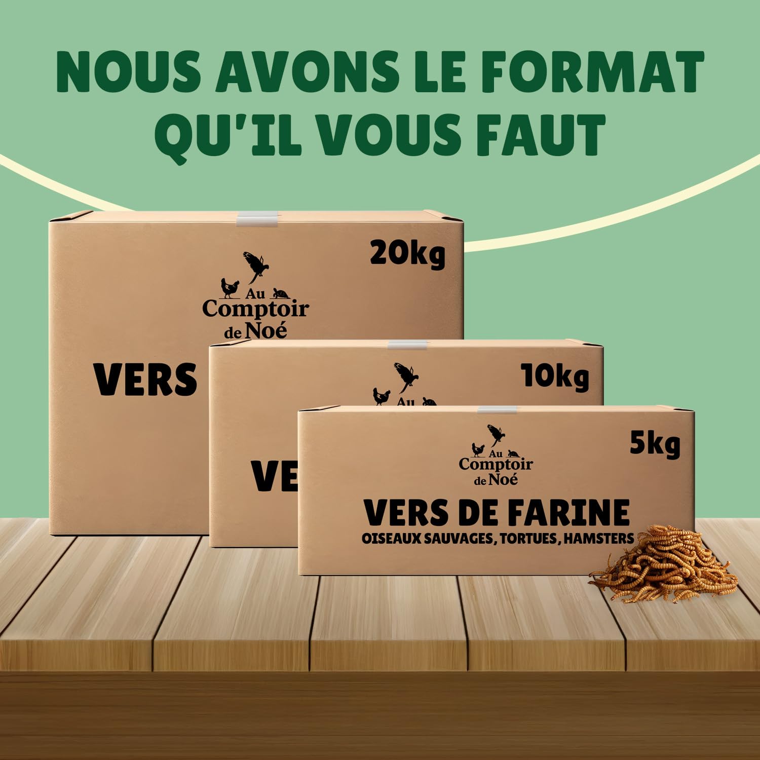 vers de Farine séchés 10kg Au Comptoir de Noé, 100% Naturel, Riches en Protéines et Bonnes Graisses, Alimentation pour Poissons, Oiseaux Sauvages, Tortues, Hérissons, Rongeurs et Reptiles