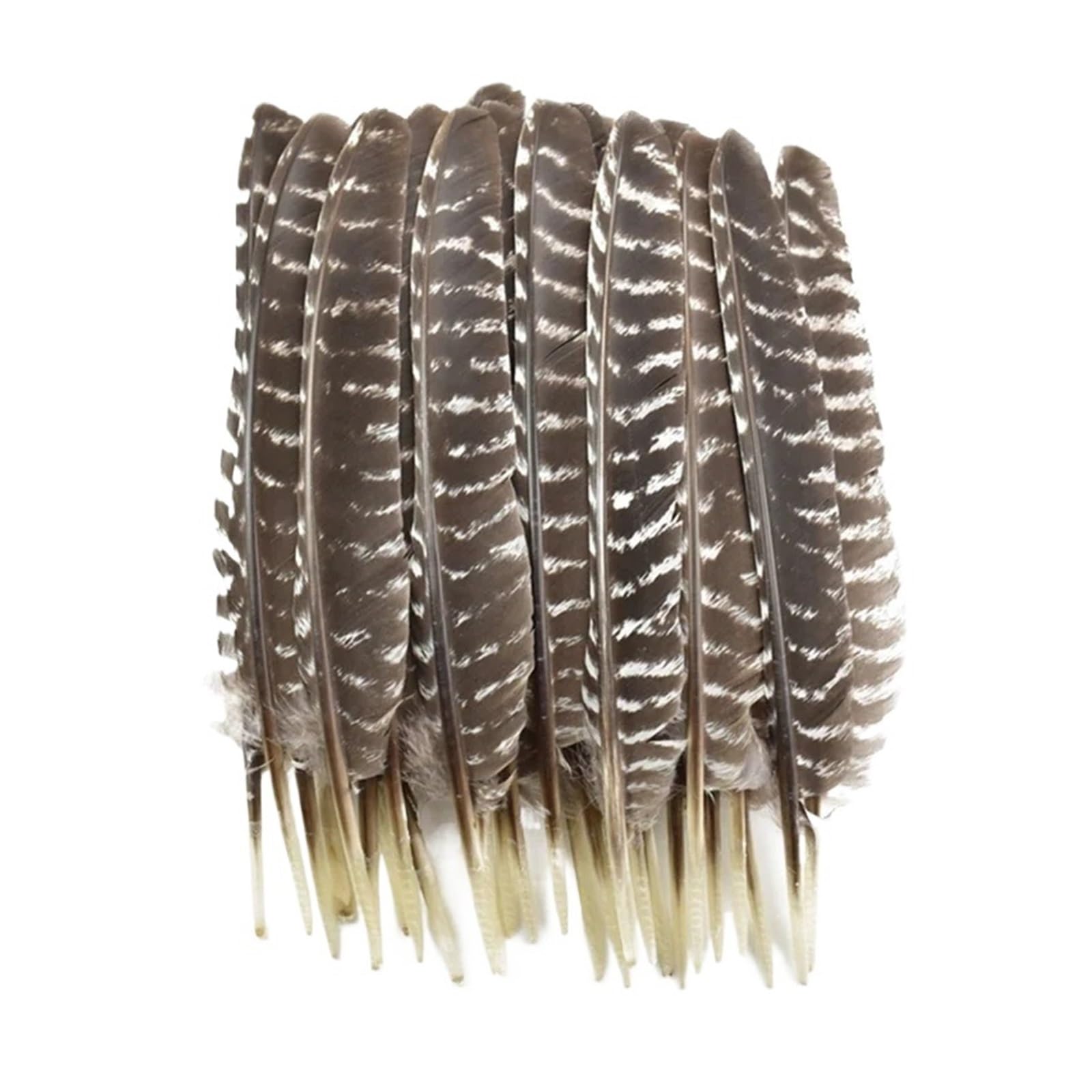 Chapeau artisanal en plumes d'aigle et d'oiseau, accessoires de décoration DIY(30-35CM 12-14Inch,10 Pcs)