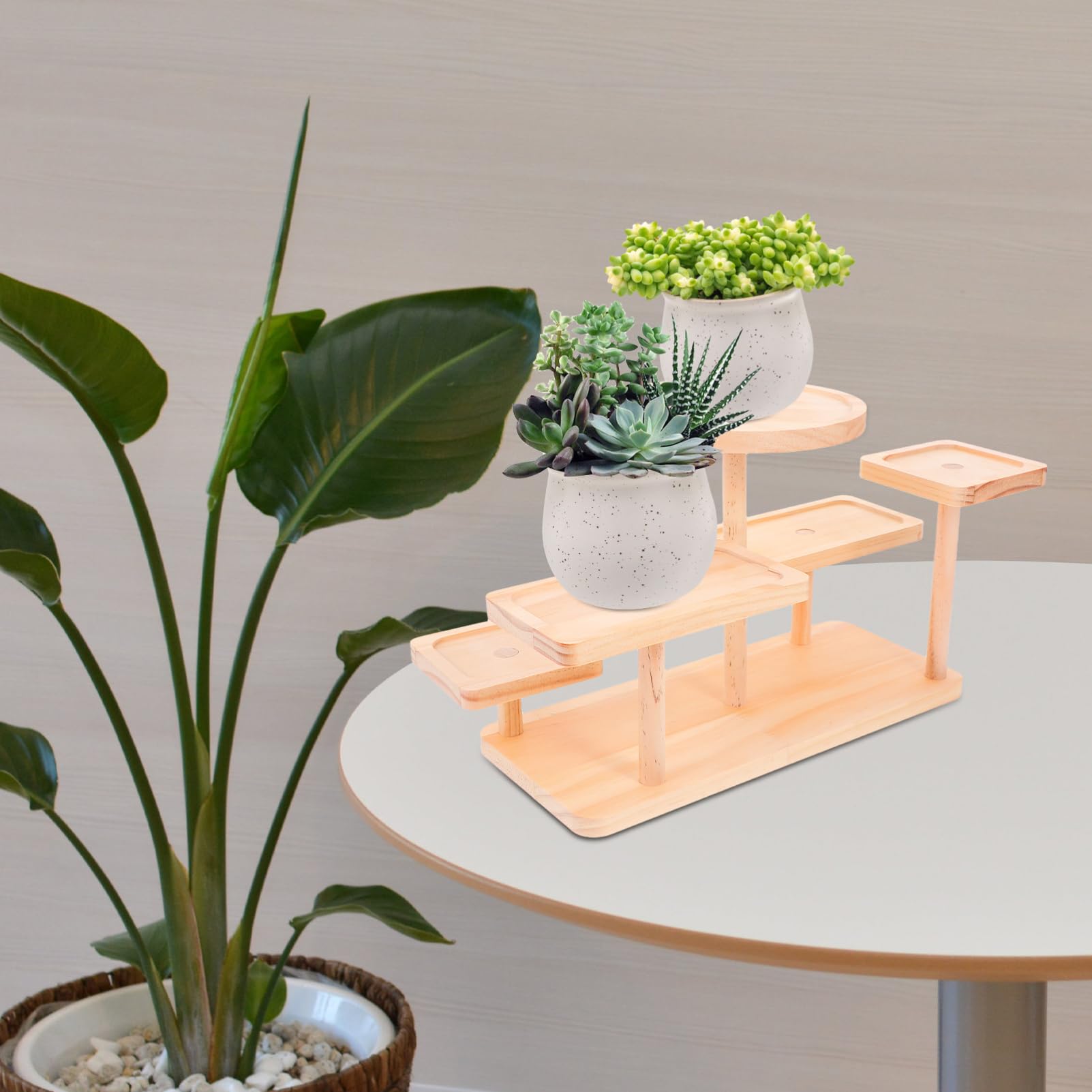 Expositor De Madera con Elevadores Organizador De Suculentas Decoración para Sala De Estar