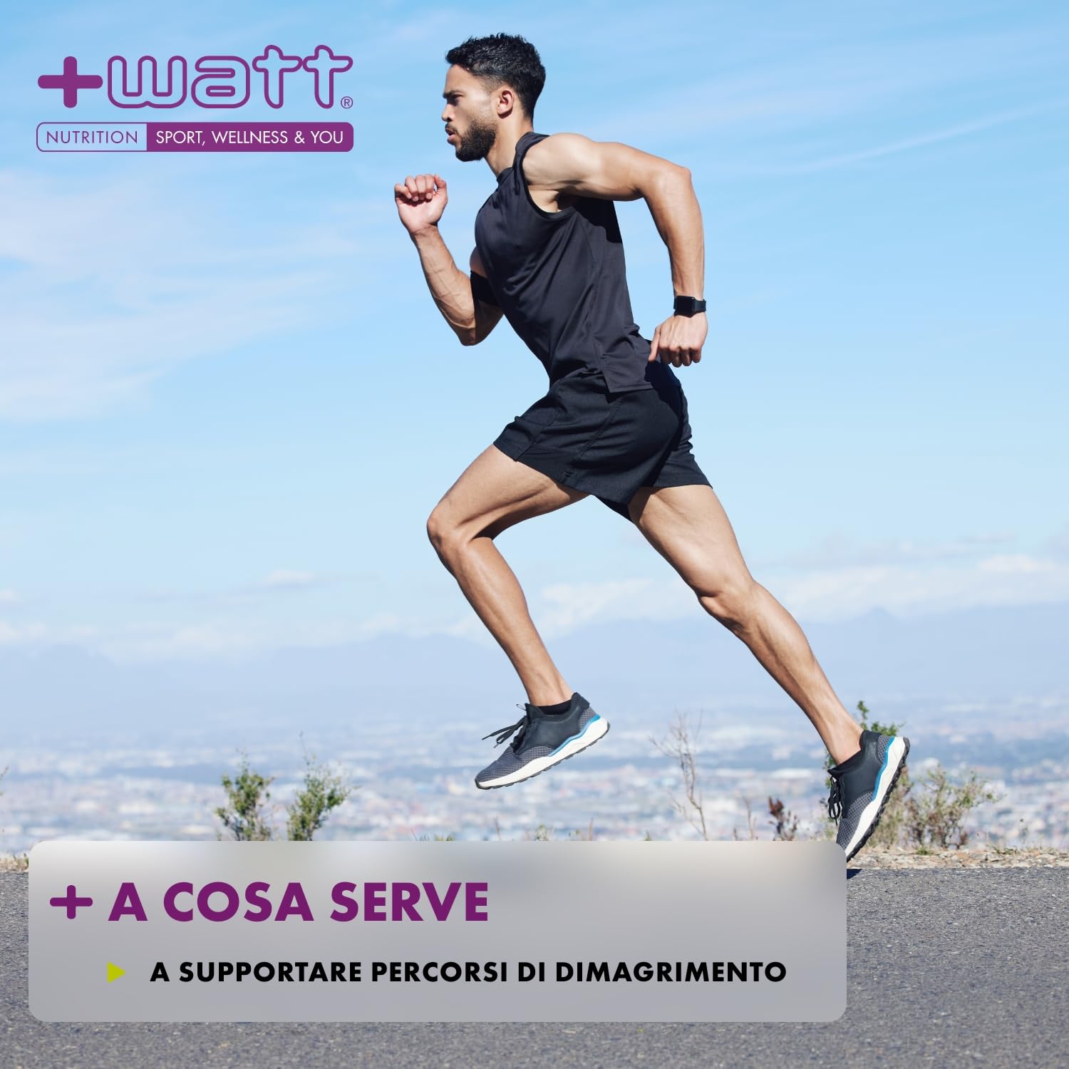 Weight Control New Formula - Integratore Alimentare a Base di Sinetrol®XPur, Coleus, Ananas, Equiseto e Gymnema. GLUTEN FREE - Offre Sostegno al Metabolismo - Formato: 60 capsule