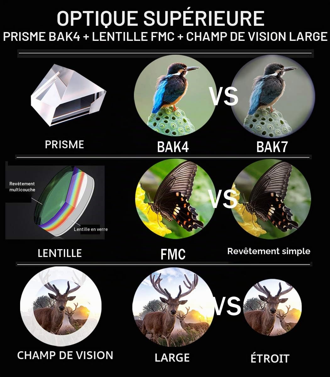 Gosky 10x42 Jumelles Adultes HD pour Observation des Oiseaux Étoiles Voyage Chasse Sport avec Adaptateur Téléphone