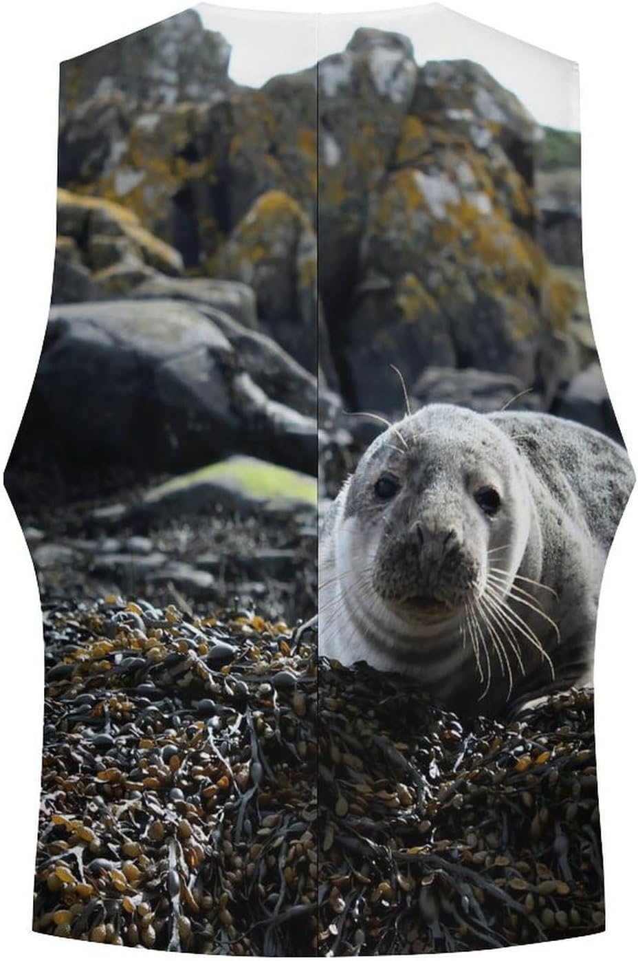 Sea Lion on The Rocks Casual Suit Vest for Men Formal Business Dress Regular Fit Waistcoat Tuxedo