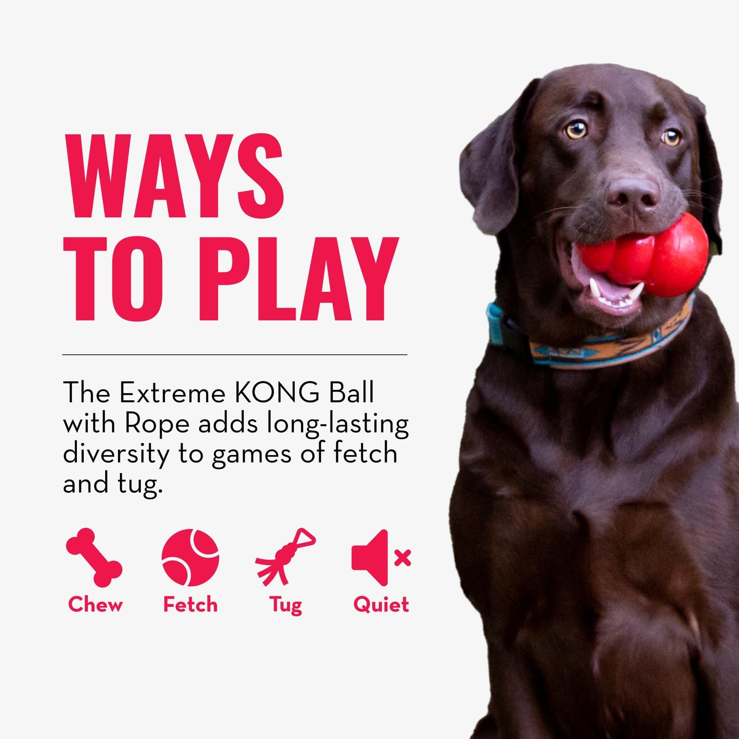 KONG Extreme Ball avec Corde - Jouet De Récupération pour Chien en Caoutchouc Naturel Durable avec Corde pour Lancer Facile - pour Grands Chiens - Noir
