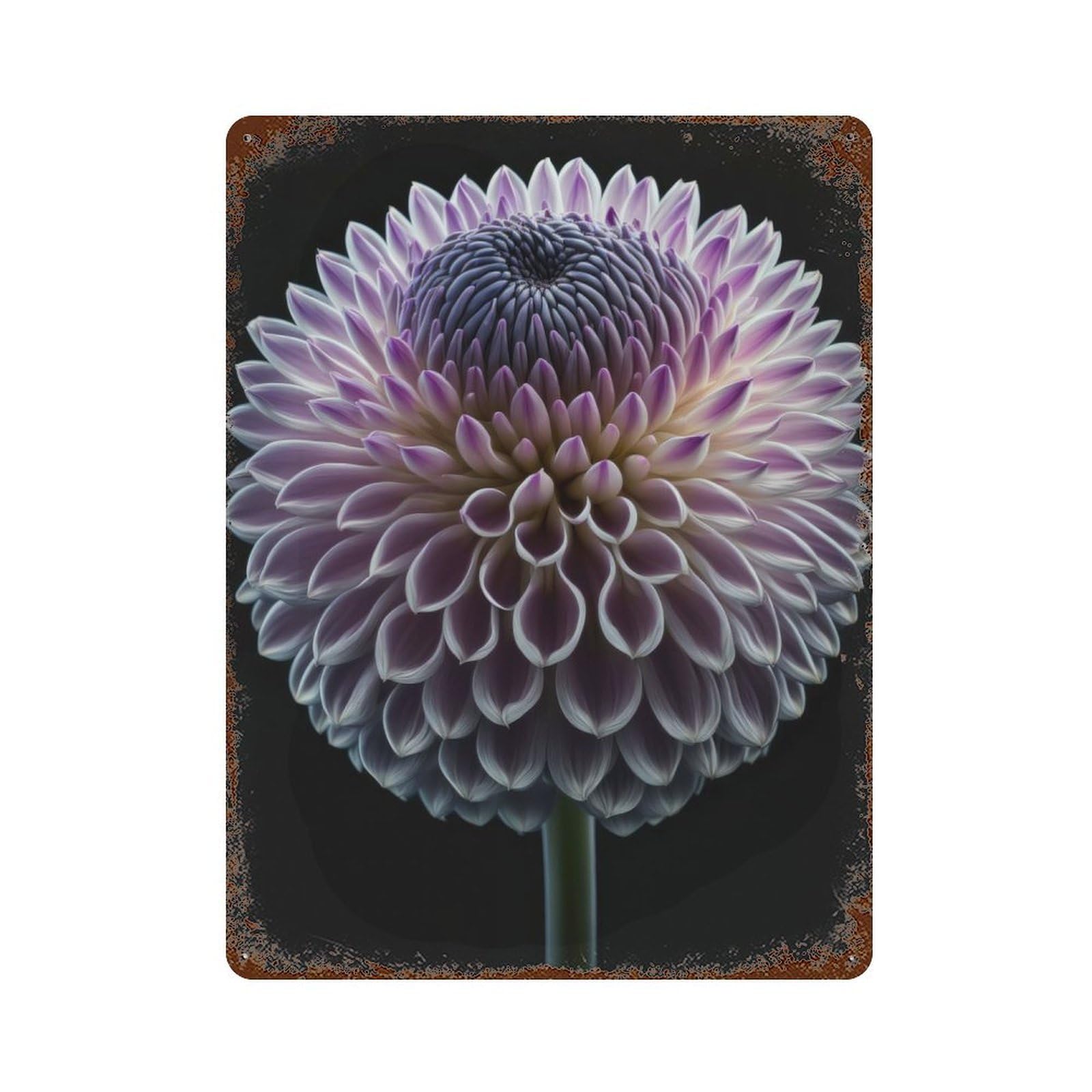 Vintage Metal Tin Sign Blooming Dahlia 15.7"x11.8", Industrial Home Decor for Farmhouse, Kitchen And Entryway Decor
