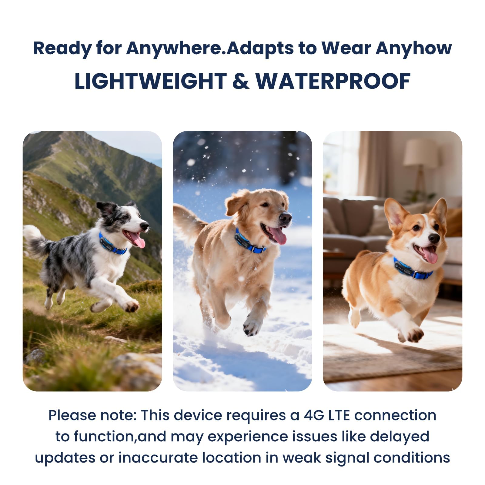 DBDD AI GPS Hunde-Tracker, Virtueller Zaun & KI-Gesundheitsmonitor, wasserdicht