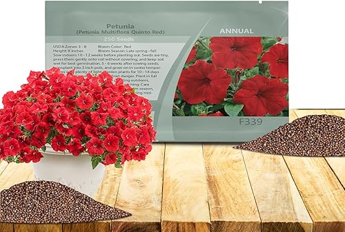 Outsidepride Semillas de petunia multiflora rojas, 250 unidades, anuales, compactas, semillas de flores para plantar, flores vibrantes, ideales para
