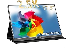 17" QHD Portable Monitor: Your Visual Companion On-The-Go