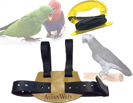 bird harnesses and leashes