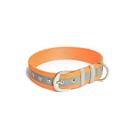 PetWale Reflective Orange Dog Collar - (Size : Large)