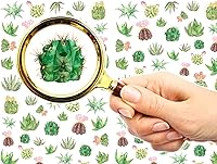 Vista 1 de Pegatinas para uñas (5 hojas) FLONZNAIL Cactus Suculentas Flores Vintage Acuarela Ilustración