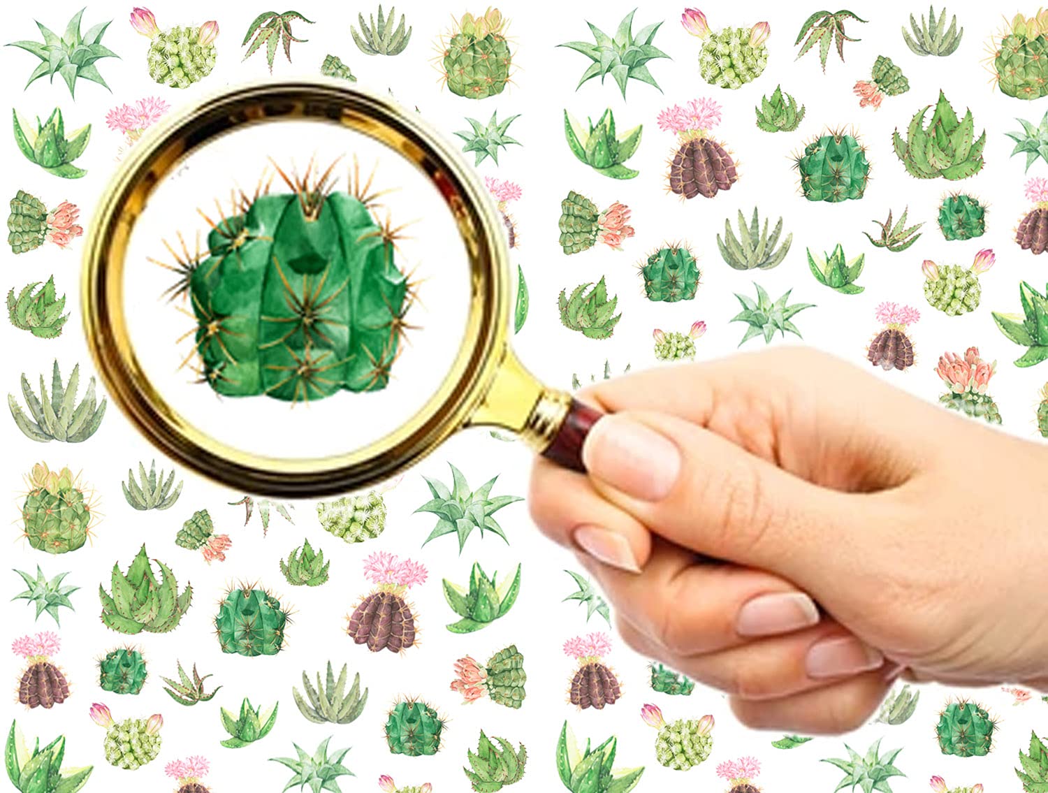 FLONZNAIL Nail Stickers Decal Transfers (5 Sheets) Cactus Succulent Flowers Vintage Watercolor Illustration