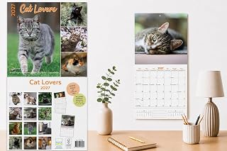 2027 Calendar Cat Lovers Wall Calendar Monthly Calendar 16 Months 30 x 30 cm
