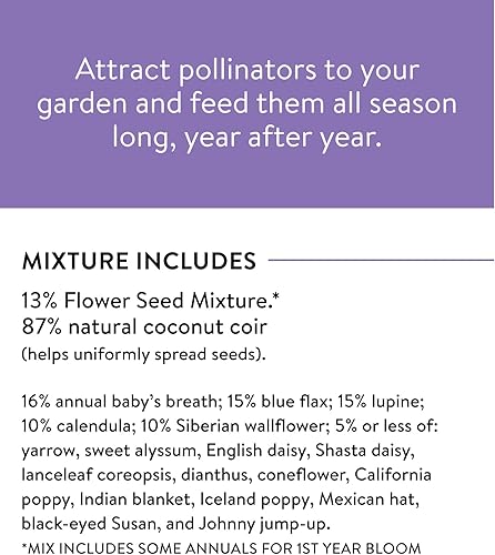 Miniatura 6 de Burpee – Bolsa de mezcla de flores silvestres perennes