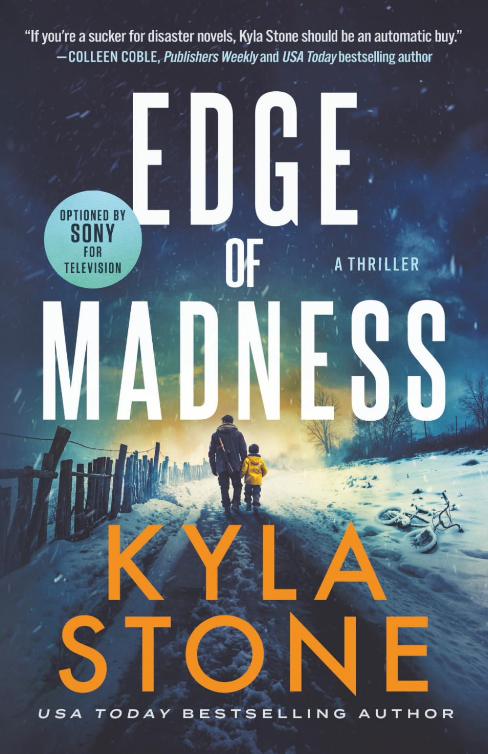 Edge of Madness: A Post-Apocalyptic EMP Survival Thriller: 2 (Edge of Collapse)